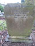 image of grave number 373610